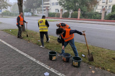 Einheitsbuddeln in Neuwied: Gemeinsam f�r mehr Artenvielfalt