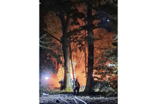 Gro�brand eines Holzstapels in Neuwied-Feldkirchen
