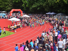 Spannender Wettkampf: Der 19. Deichlauf in Neuwied zieht �ber 1.300 Sportler an