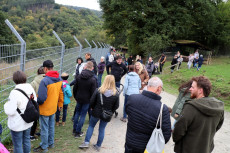 Wildpark Westerwald l�dt ein: Fr�hlingszauber im Buchfinkenland