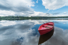 Kunst und Natur im Fokus: Ausstellung und Fotowettbewerb im Roentgen-Museum Neuwied
