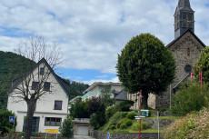 Alte Dorflinde muss weichen - Hoffnung auf Neuanpflanzung