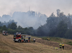 Waldbrandzug des Westerwaldkreises im �ber�rtlichen Einsatz