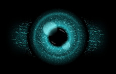Smart Glasses - Datenschutzrisiken im Blick