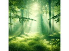 Gedenkfeier des Hospizvereins Altenkirchen: "Licht der Erinnerung"