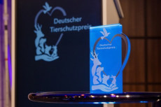 Publikumspreis des Deutschen Tierschutzpreises 2026: Rheinland-Pf�lzer im Rennen