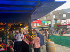 Wein, Musik und Tradition: Winzerfest in Linz am Rhein