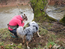 Artensp�rhunde entdecken neue Otternachweise in Rheinland-Pfalz