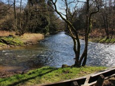 Geführte Wanderung: Rund um Heimborn über Weg "Kroppacher Schweiz Highlights"