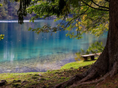 Basaltsee bei Bad Marienberg droht trockenzufallen