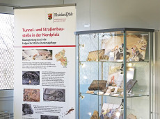 Fossilien zum Dahinschmelzen im St�ffel-Park