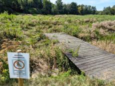 Mammelzer Weiher wird nicht mehr zum Leben erweckt: Immense Kosten bedeuten Aus des Angelgewssers