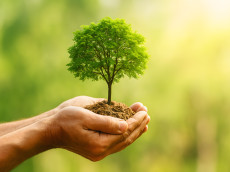 Wller Helfen e.V. gewinnt Brckenpreis 2025