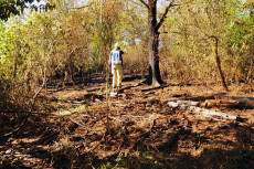 Waldbrand in Gebhardshain: Freiwillige Feuerwehren mit zahlreichen Kr�ften vor Ort 