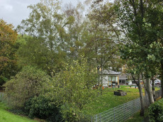 Stadtr�tin Etscheidt zeigt Alternative zur F�llung von 30 B�umen auf dem Gel�nde der Kita "Am Schlosspark" auf