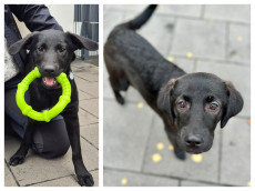 Auf ins Abenteuer Familie: Bibi & Bobo warten