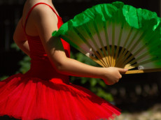 Ballett fr Kita- und Schulkinder in Erpel