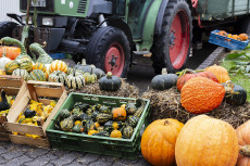 Thalhausener Bauernmarkt - Tradition und Vielfalt