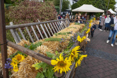 Strohschafe, Bienen und viele regionale Produkte beim Bauernmarkt in Thalhausen