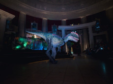 Dinosaurier zum Anfassen in Montabaur: Eine Reise in die Urzeit