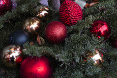 Weihnachtszauber an den Wiedterrassen in Waldbreitbach