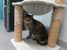 Ein Logenplatz f�r die Seele: Chantal sucht Herzensmenschen mit Gesp�r