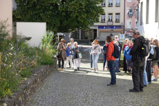 BienenBl�tenReich: Linz am Rhein zeigt, wie Artenvielfalt im Stadtbild gelingt