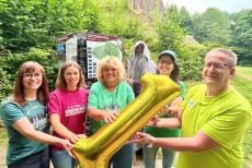 Druidensteig ist Deutschlands sch�nster Wanderweg 2026