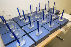 Preistrgerin Waltraud Geiler - eine wahre "Tausendsasserin" fr Melsbach