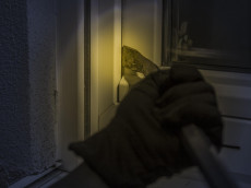 Einbruchserie in Oberelbert: Werkzeuge aus Garagen gestohlen