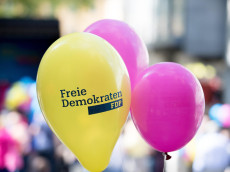 FDP Westerwald: Neujahrsempfang mit Daniela Schmitt am 21. Januar