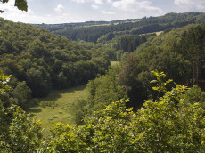 Das Team von "Forst erkl�rt" erneut zu Gast im Haus Felsenkeller