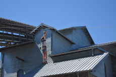 Das 9. Kreisfamilienfest im Stffel-Park bertraf die Erwartungen