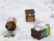 Rheinland-Pfalz fordert Schutzzonen gegen Feuerwerksl�rm