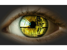 Frauenhaus Westerwald: Ein sicherer Hafen f�r Betroffene von Gewalt