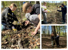 Girls� Day 2026: M�dchen entdecken den Wald im Forstamt Hachenburg