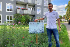 GSG Neuwied setzt auf Gr�nfl�chen und Biodiversit�t