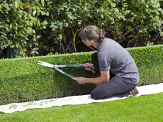 Landjugend Rheinland-Nassau l�dt nach Bad Kreuznach: "Gr�ne Berufe" entdecken