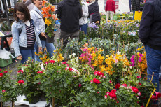 Bauern- und Gartenmarkt Bendorf: �ber 120 Aussteller am 3. Mai erwartet