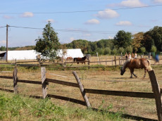 Therapeutisches Reiten: Eine besondere Woche f�r Kinder der DRK-Kinderklinik Siegen