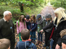 Lupenfhrerschein und Laubkunde: Abenteuer im Molsberger Wald