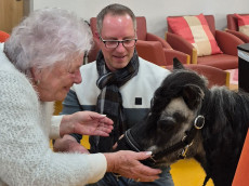 Tierischer Besuch im Haus Obere Hengsbach