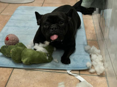 Hera vertraut: Jemand fngt sie auf