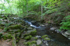 Wanderer und Touristen wundern sich ber Zustand der Holzbachschlucht