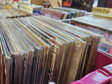 Kulturgut Vinyl: Einzige Schallplattenb�rse im Kreis Neuwied feiert zehnj�hriges Jubil�um auf der Wiedinsel