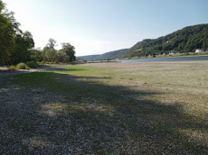 Niedrigwasser im Rhein: Auswirkungen auf Bad H�nningen