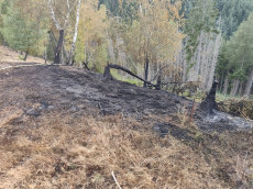 Kleiner Fl�chenbrand bei Leutesdorf schnell unter Kontrolle
