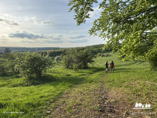 Familien-Erlebniswanderung im Westerwald: Ein Tag voller Abenteuer