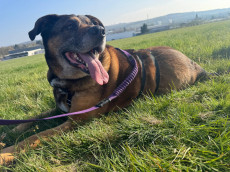 Erst Distanz, dann N�he: Jacko sucht Menschen mit Feingef�hl