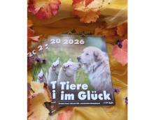 Tierschutz Siebengebirge: Tierfreunde aufgepasst, Kalender ist da 